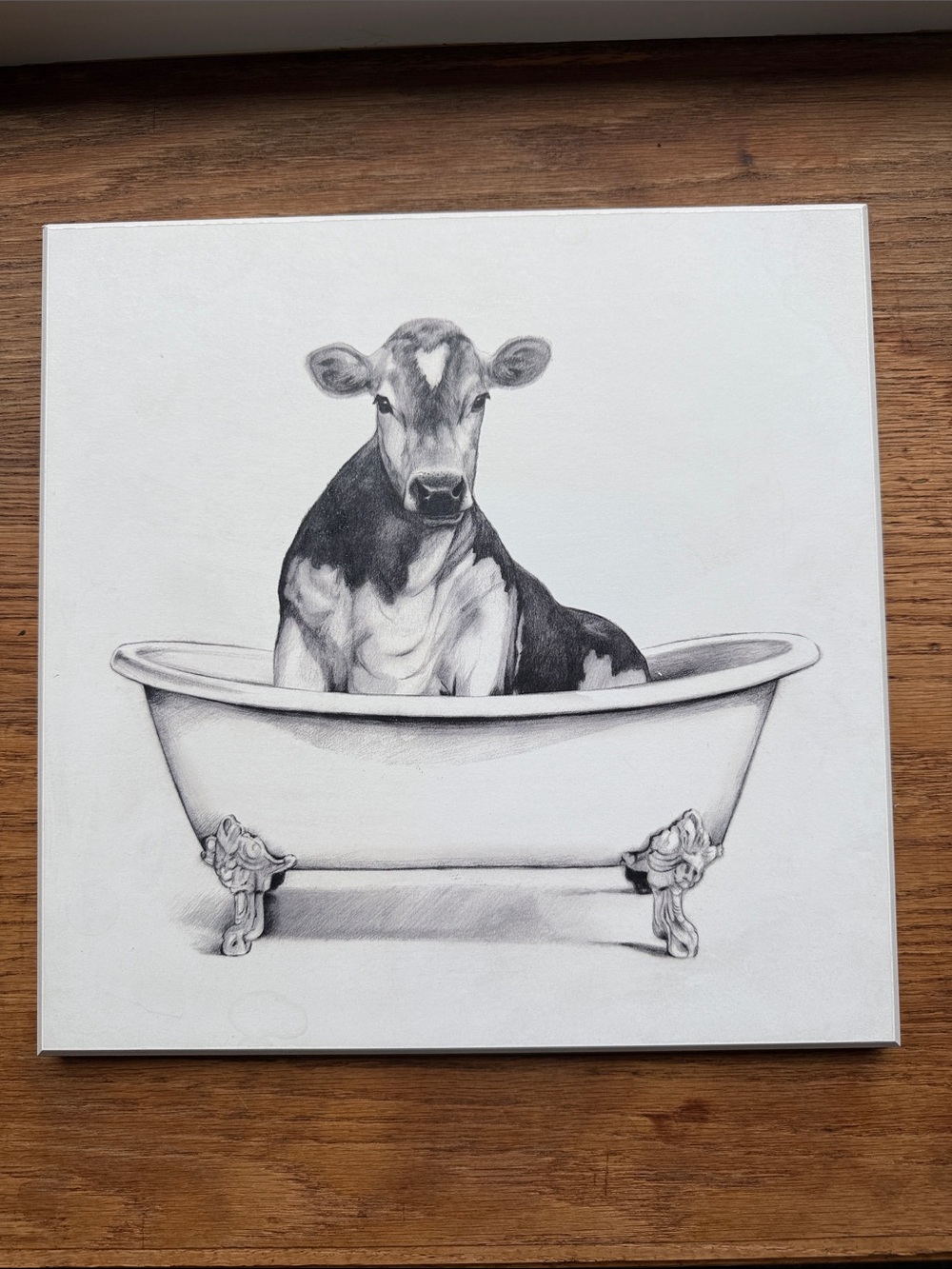 Black and White Cow in Bathtub Wall Art - Home Art